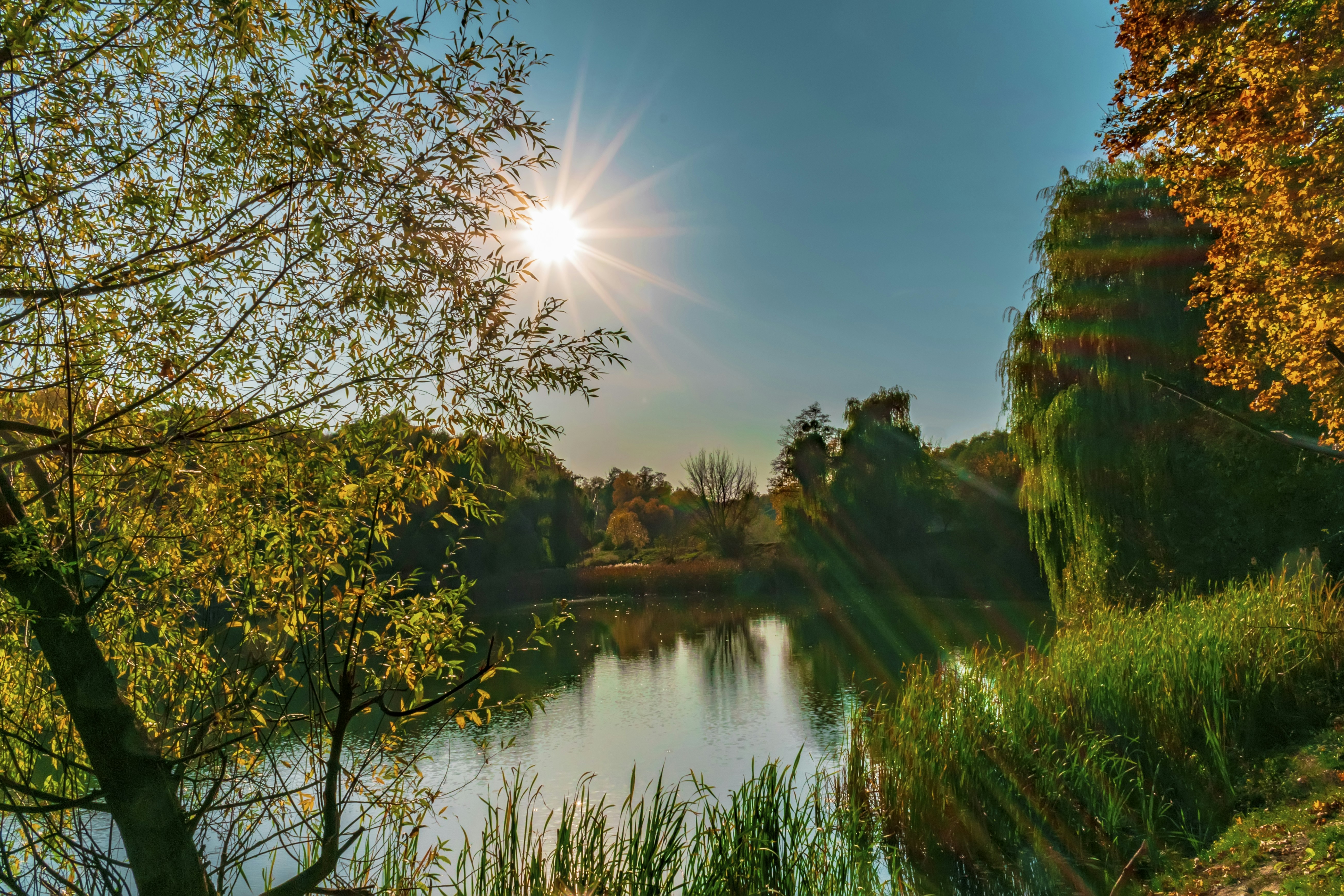 Photo by kostiantynvierkieiev