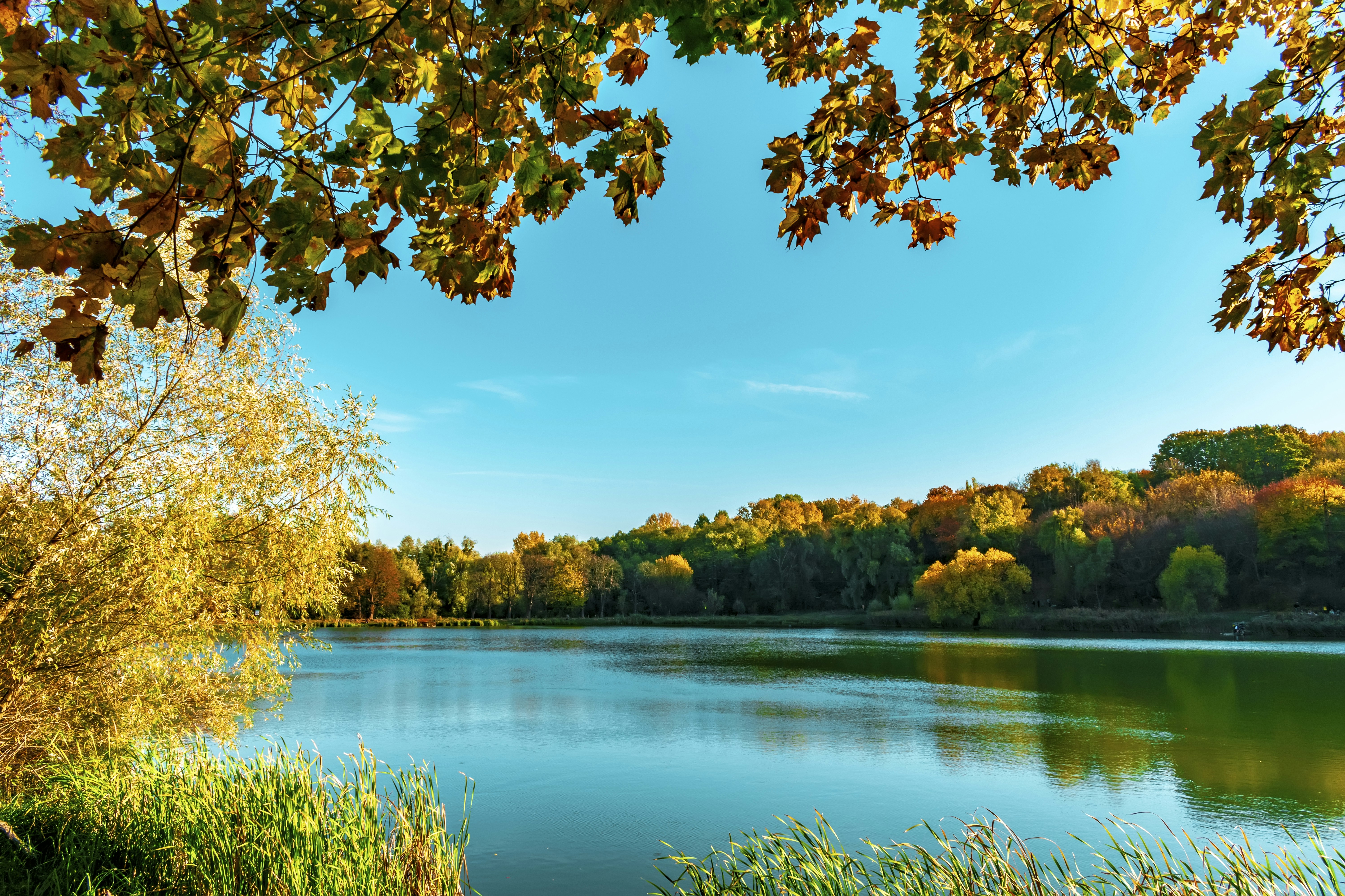 Photo by kostiantynvierkieiev