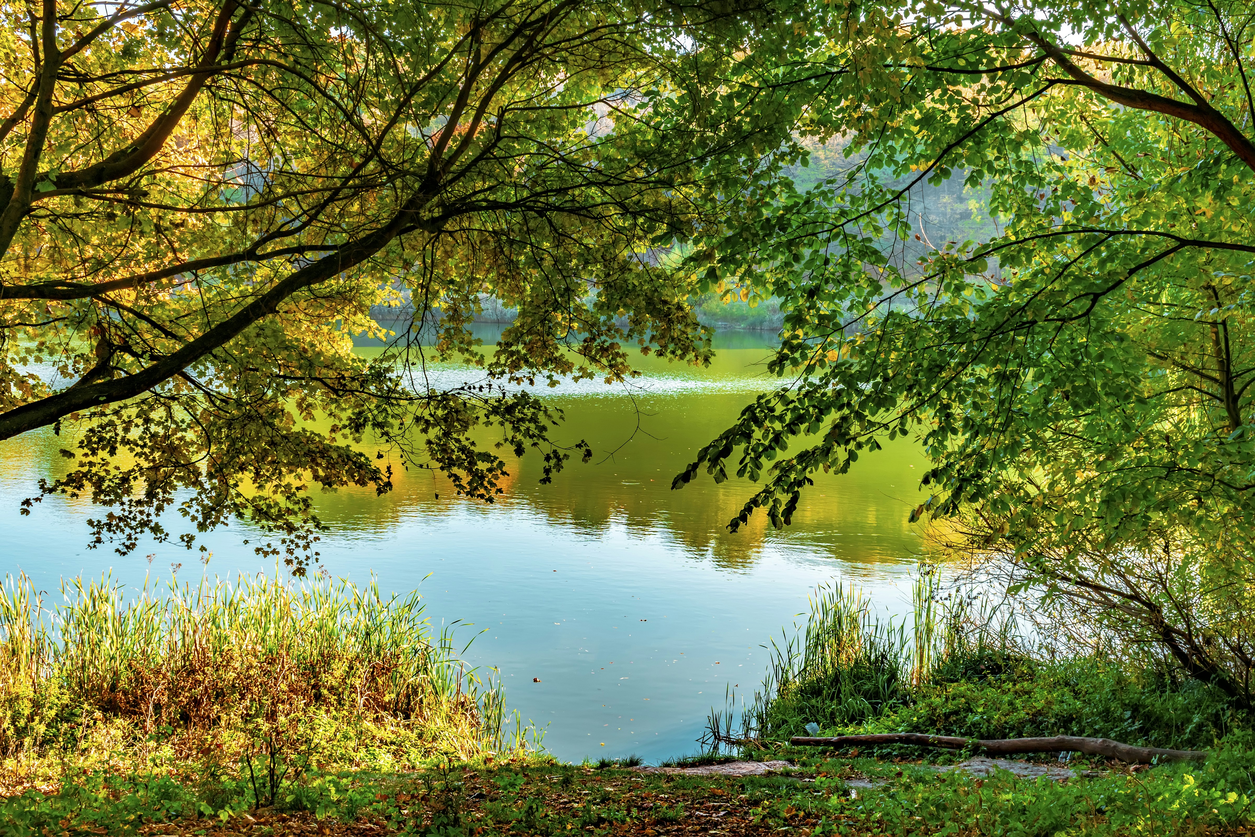 Photo by kostiantynvierkieiev