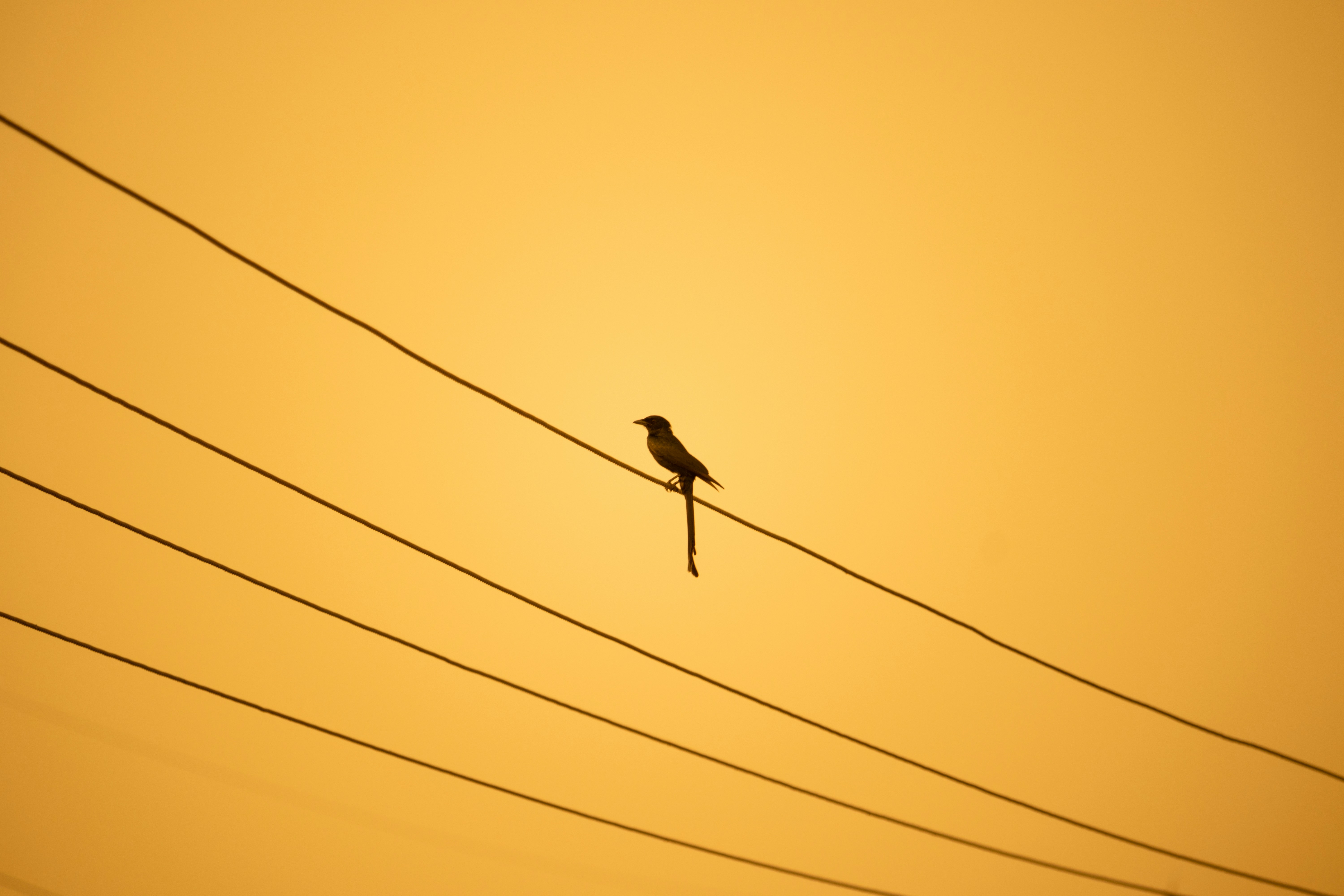 Photo by mariyan_rajesh