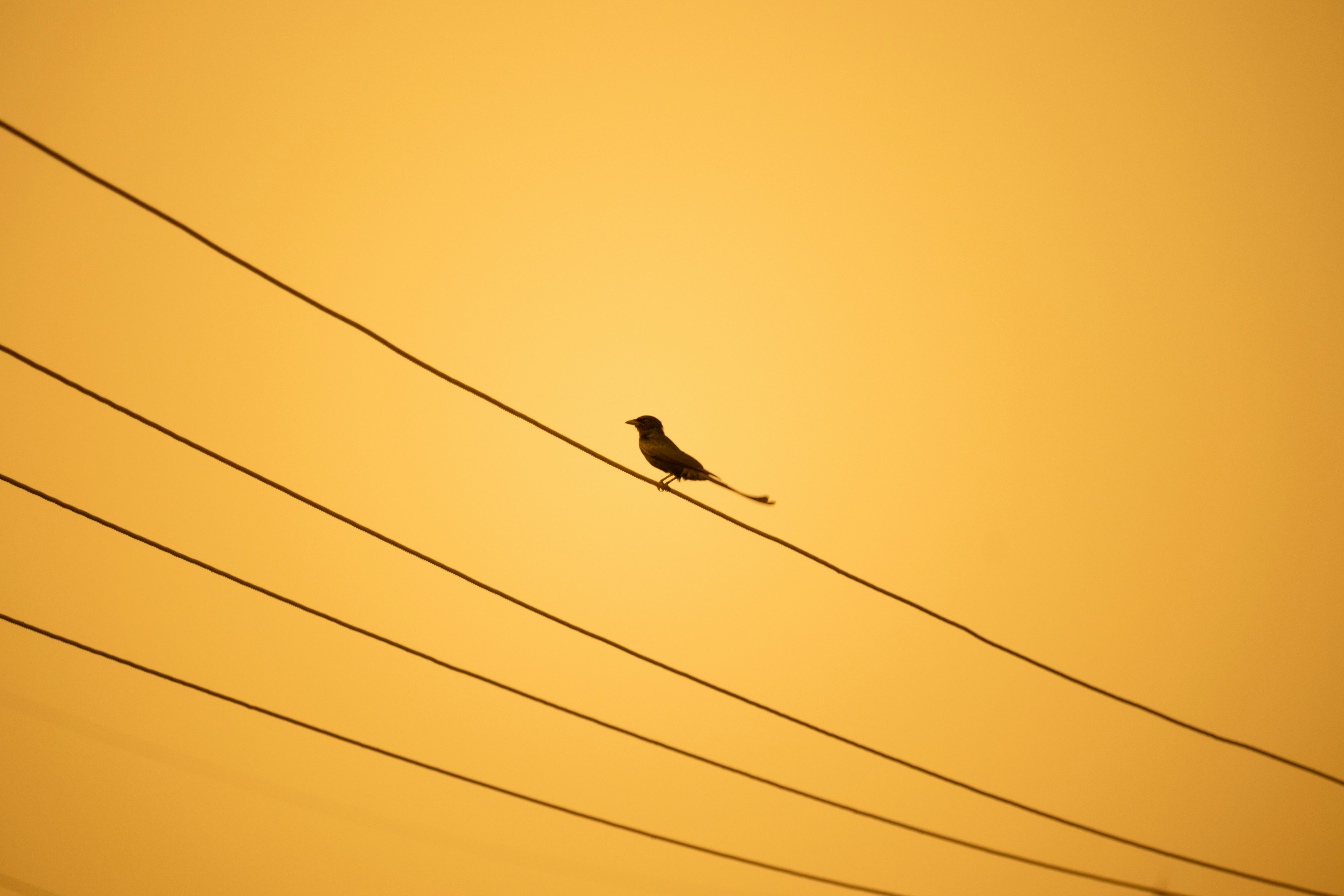 Photo by mariyan_rajesh