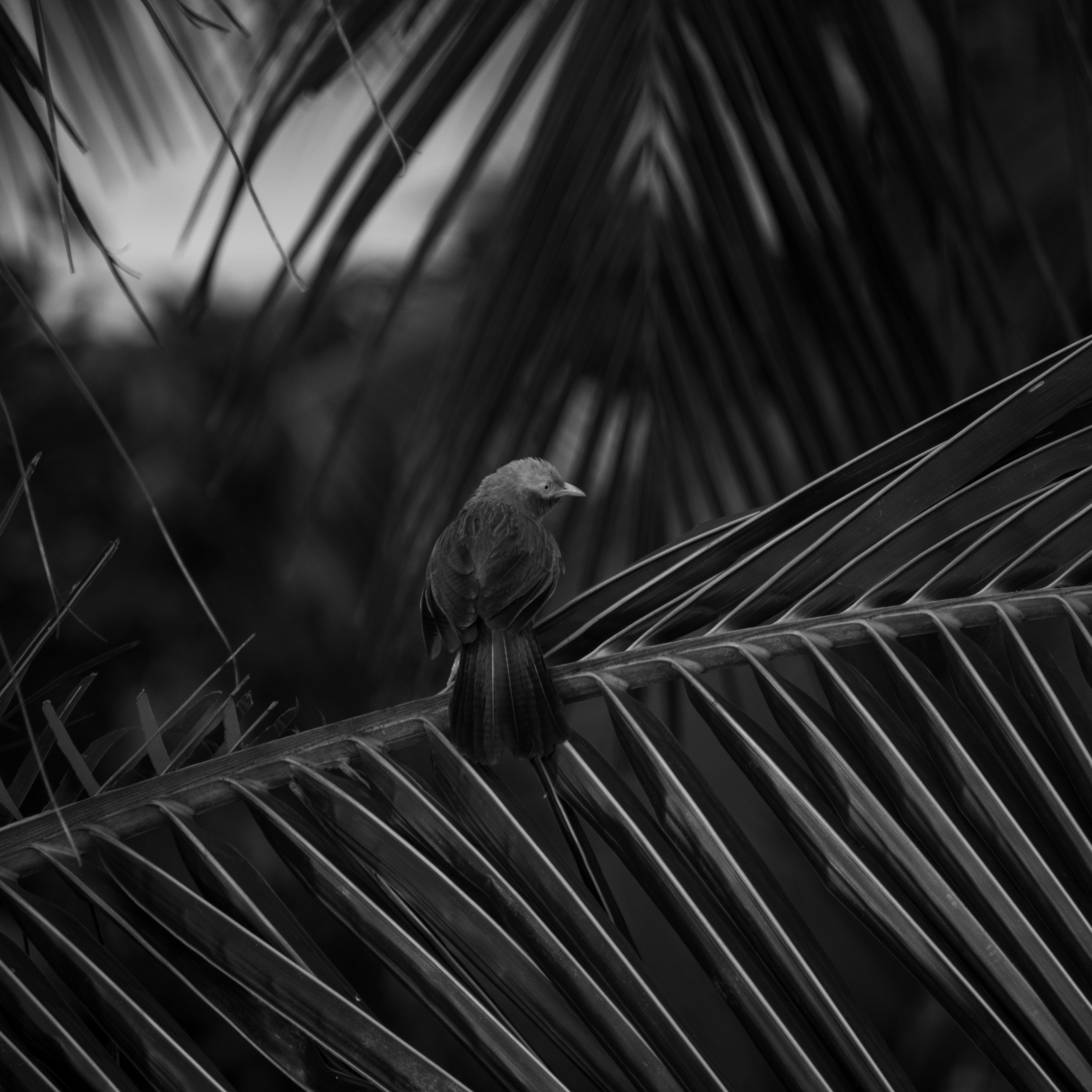 Photo by mariyan_rajesh