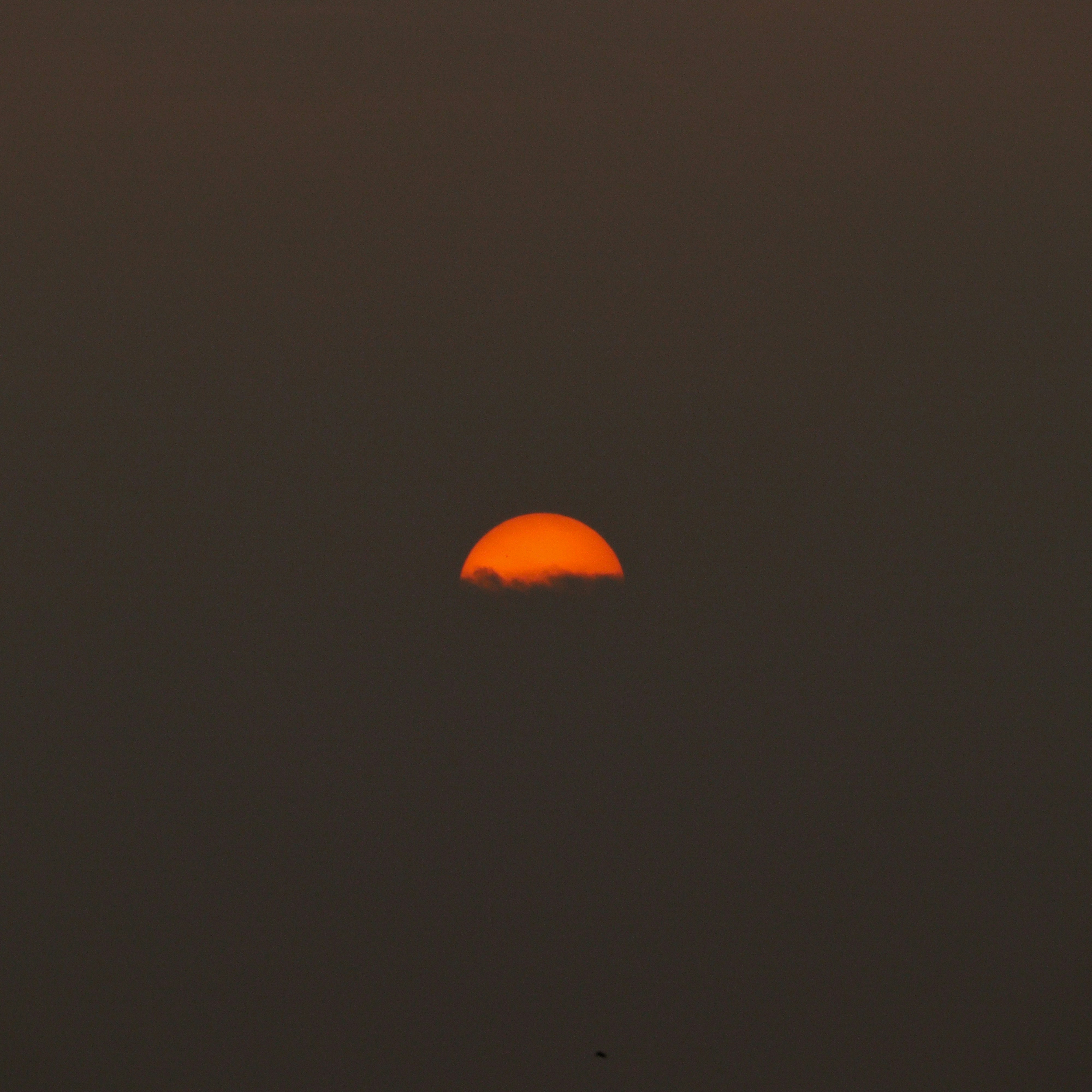 Photo by mariyan_rajesh