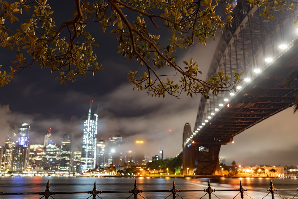 a bridge with lights on it and a city in the background