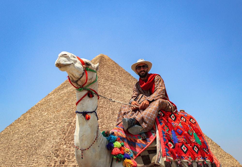 a person sitting on a camel