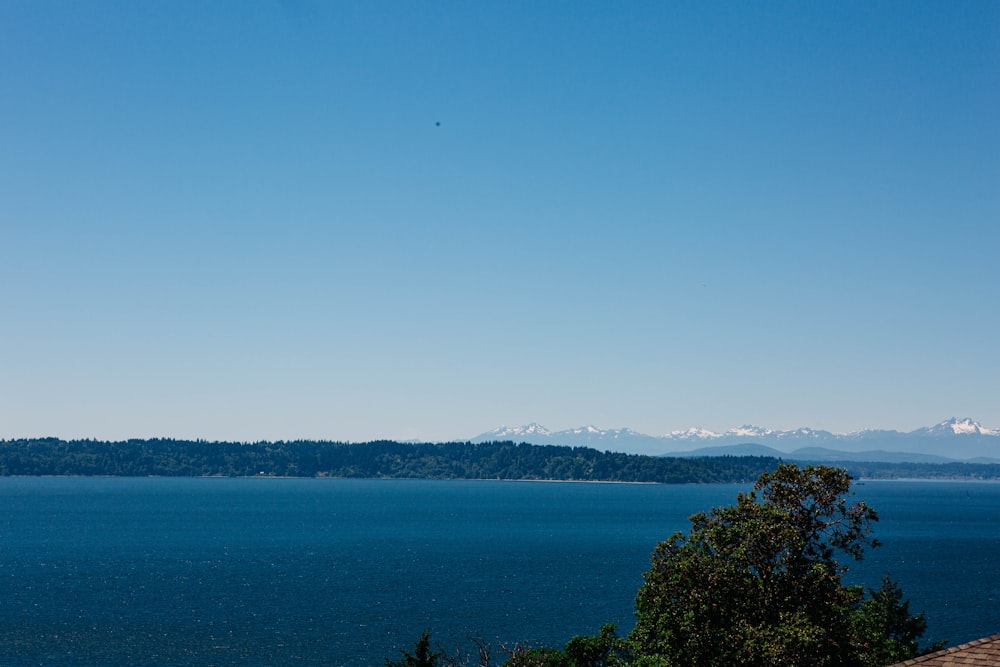 a body of water with trees and mountains in the background