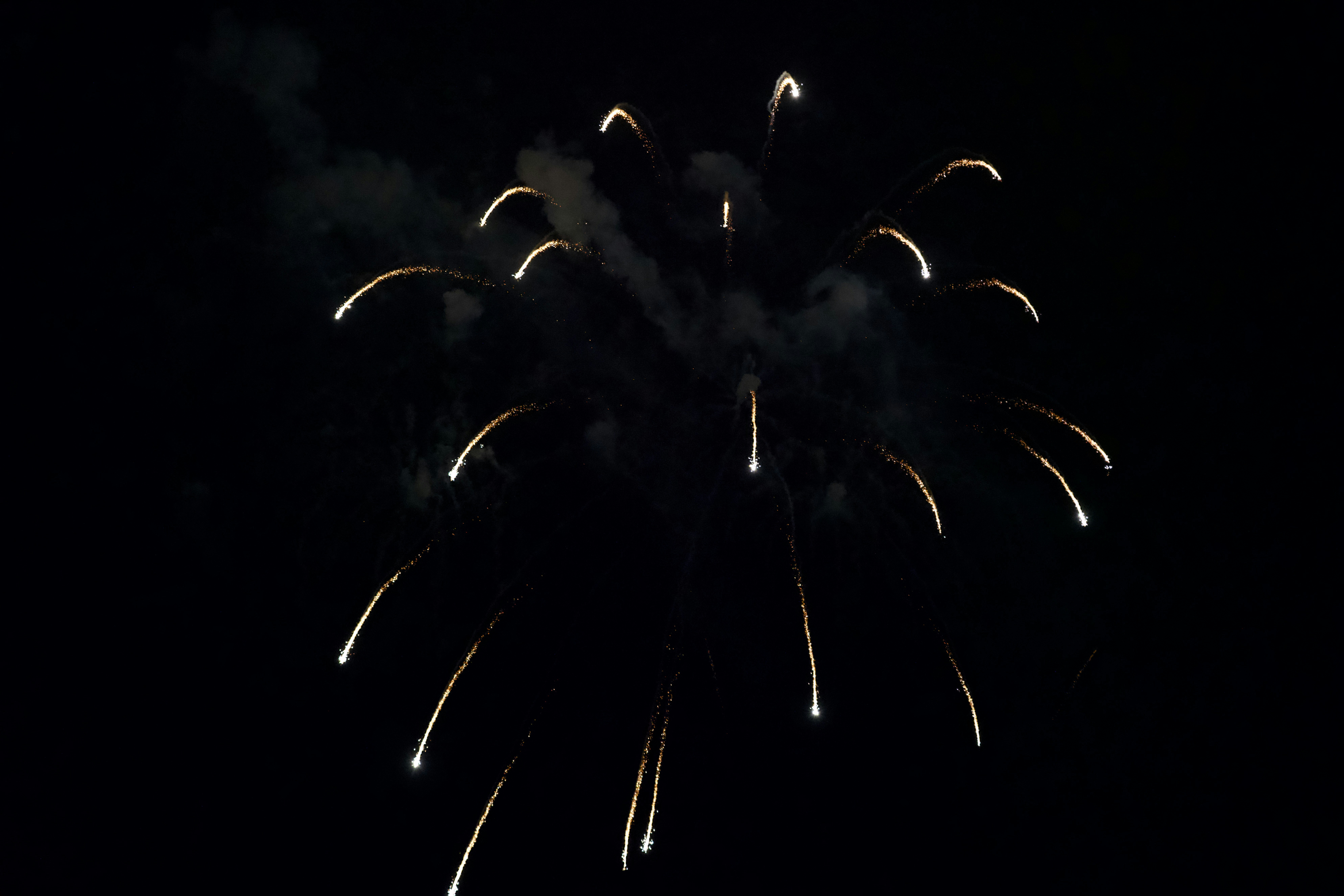 Photo by ncj51518