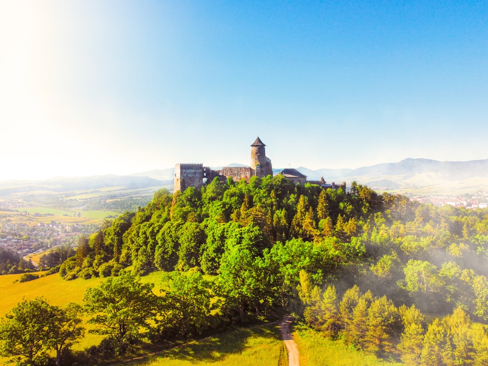 a castle on a hill