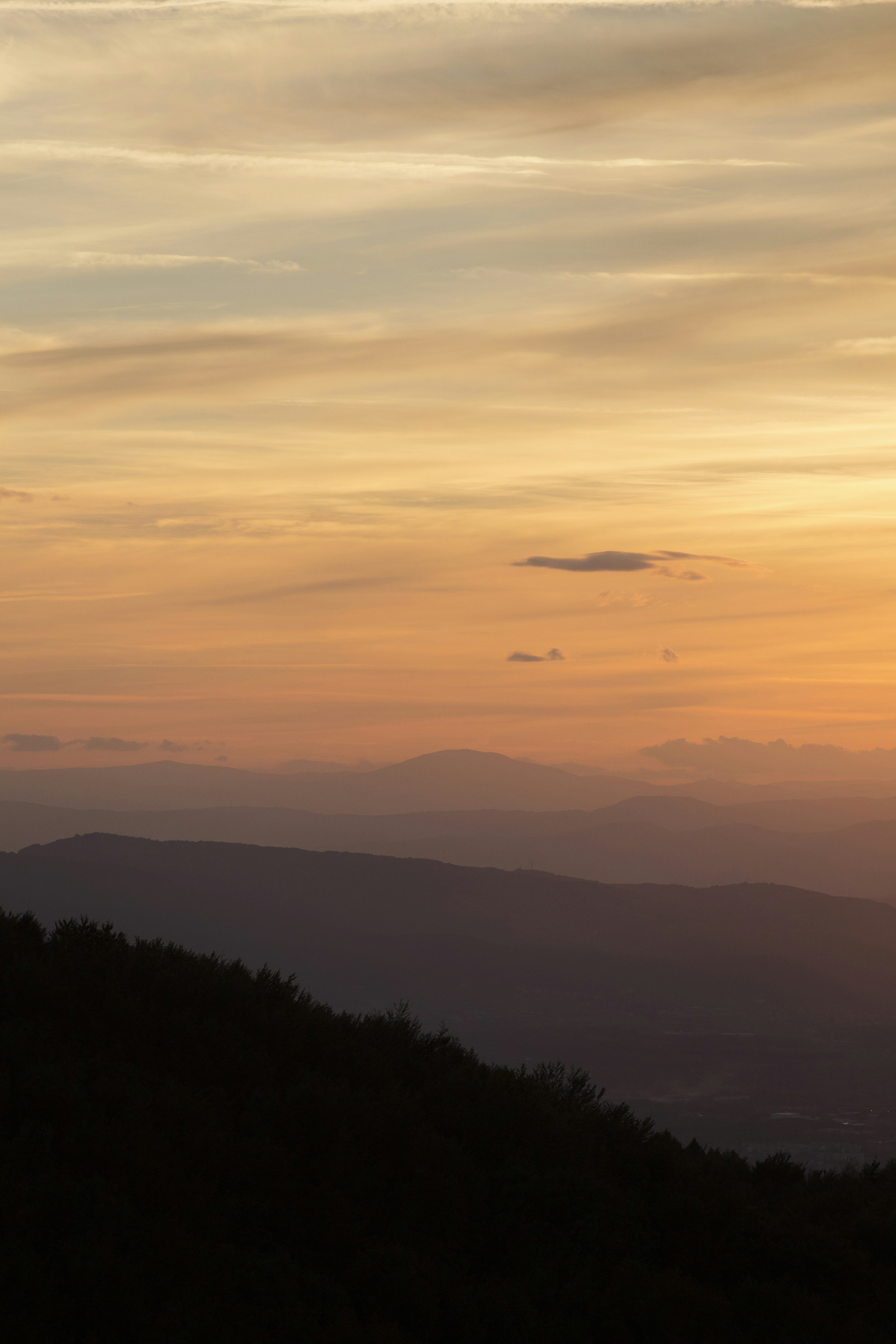 Photo by longlitsense