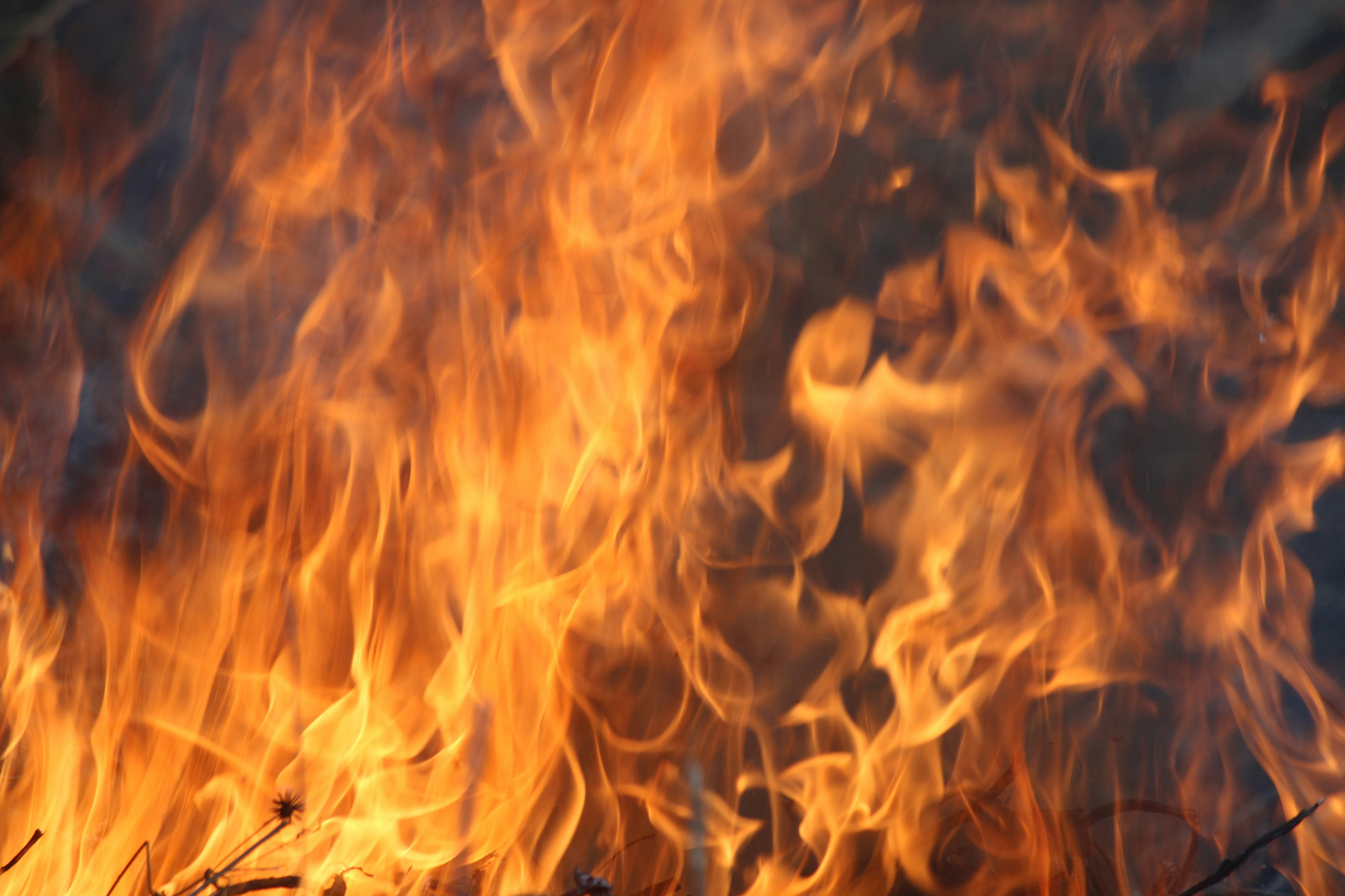 Photo by pr_abhishek