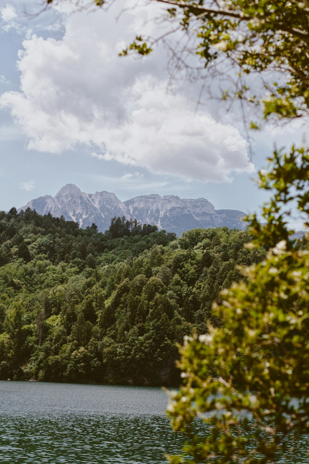 Un lago circondato da alberi e montagne