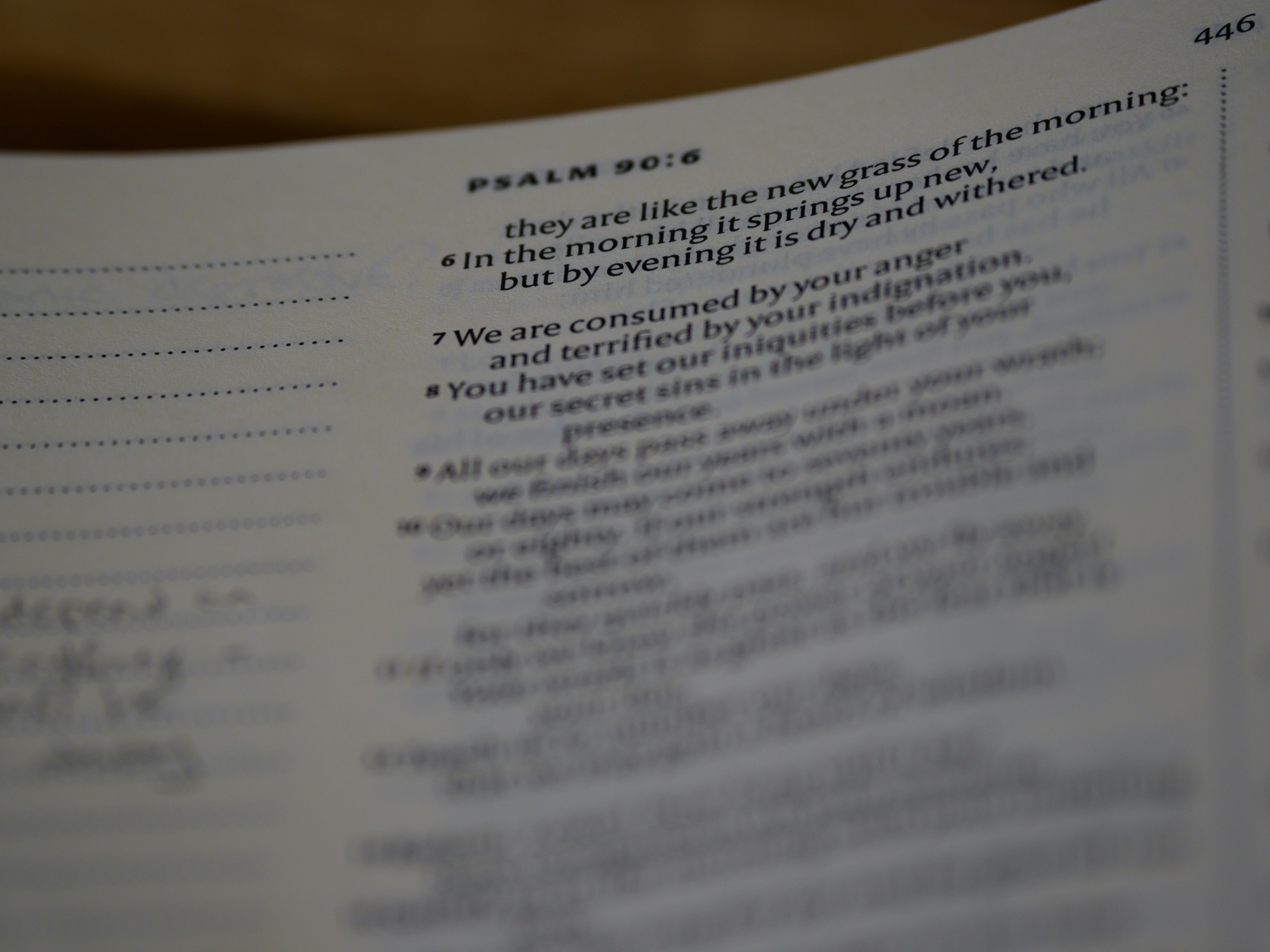 Photo by brett_jordan