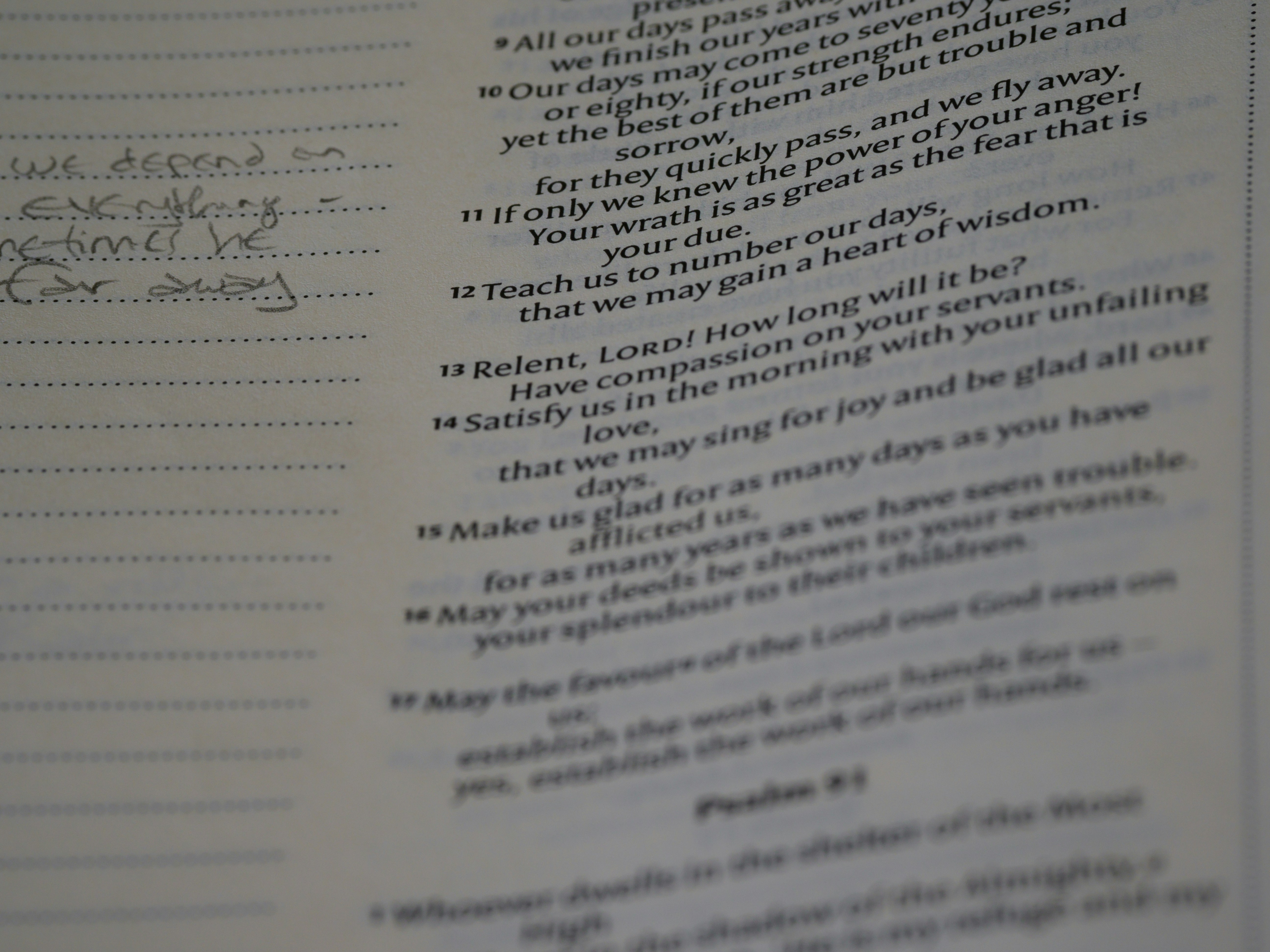 Photo by brett_jordan