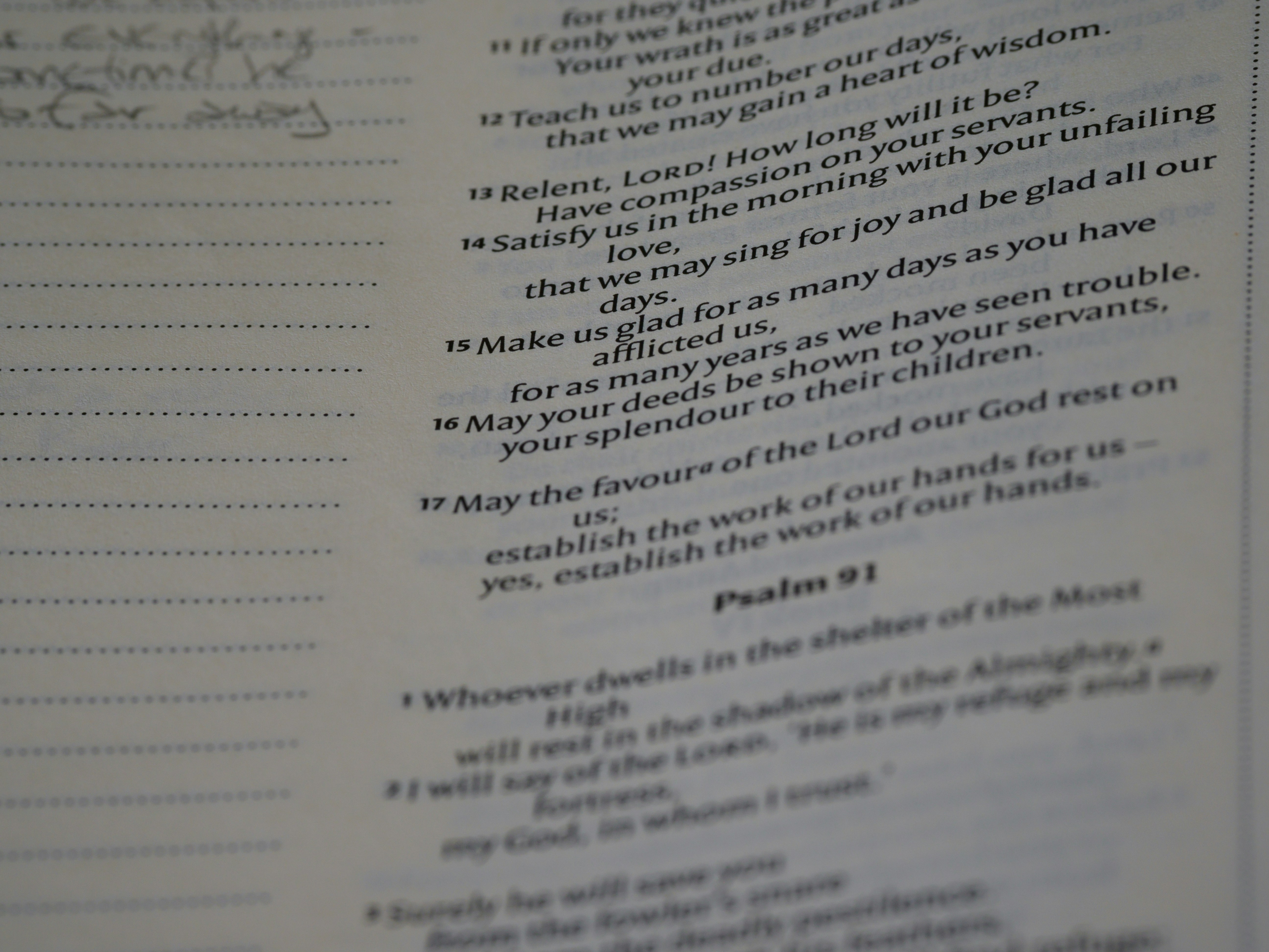 Photo by brett_jordan