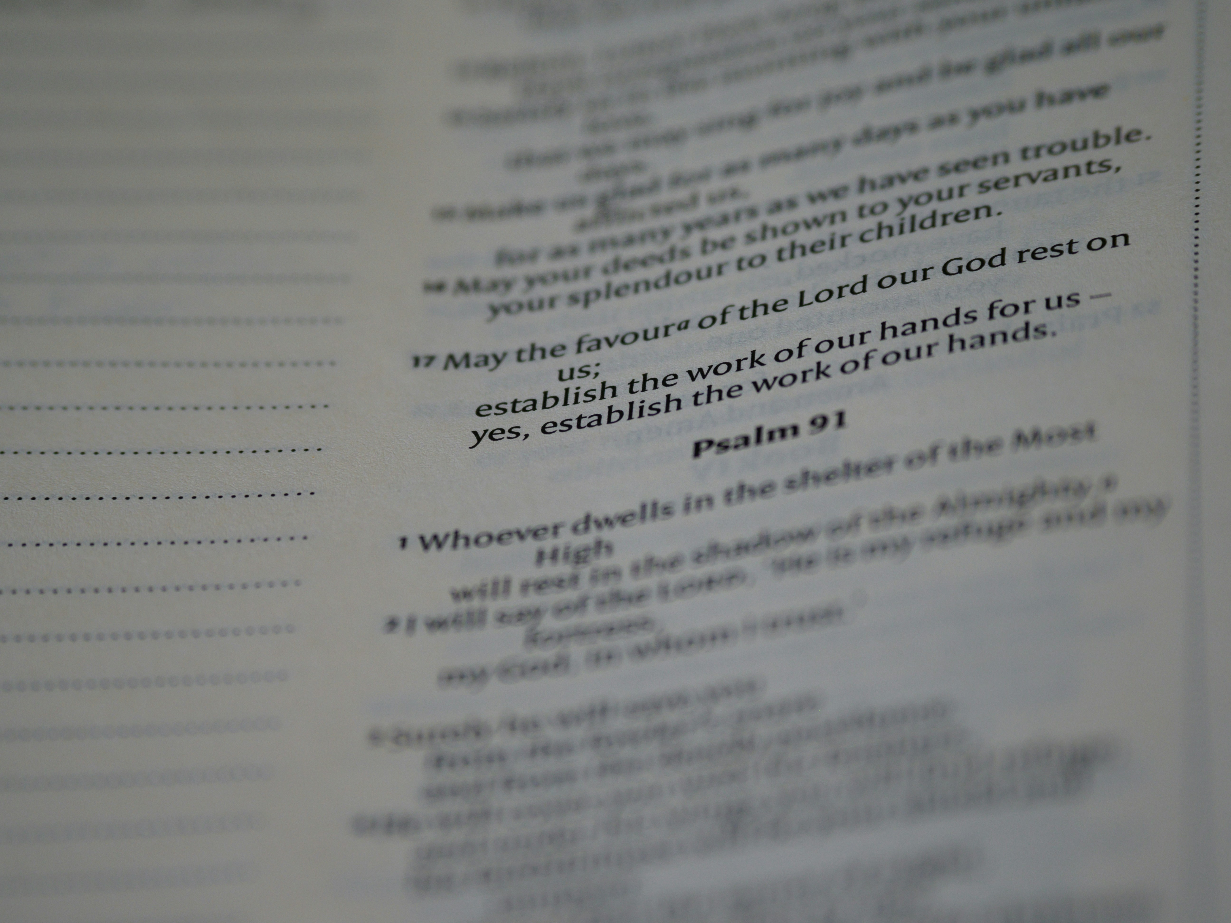 Photo by brett_jordan