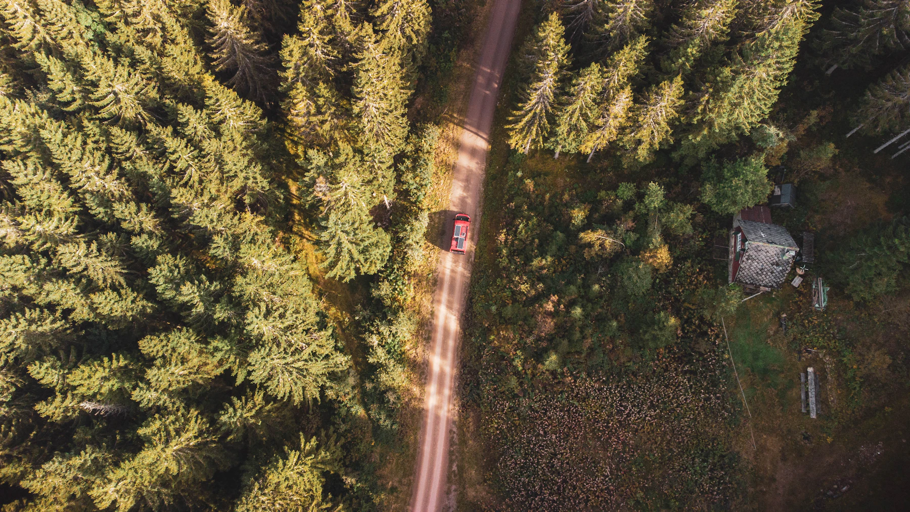 Schwarzwald-Roadtrip: Panoramastraßen, Genuss und stille Täler