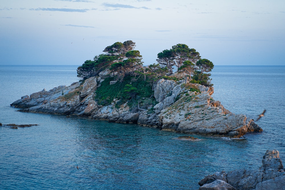 Une île rocheuse avec des arbres