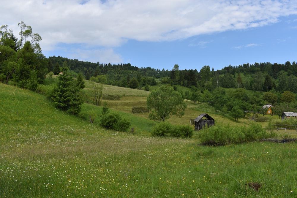 a grassy field with trees and a house in the distance