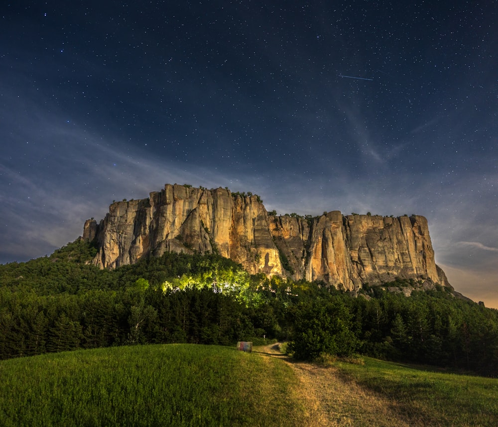 a mountain with trees and grass below