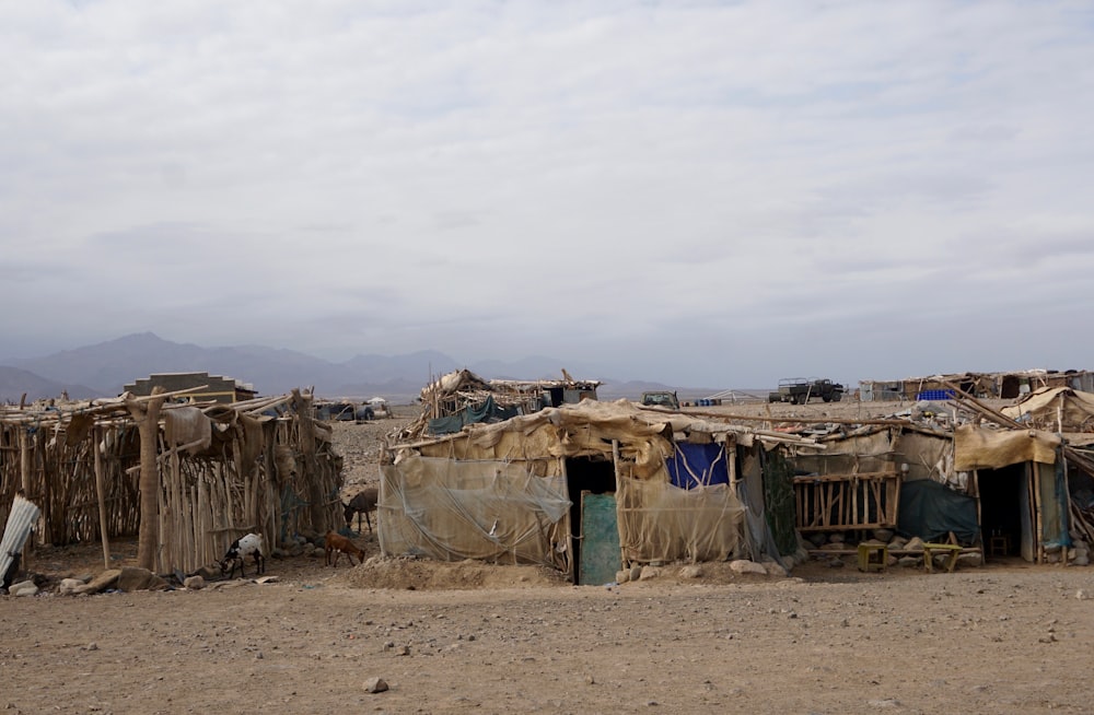 a group of huts in a desert
