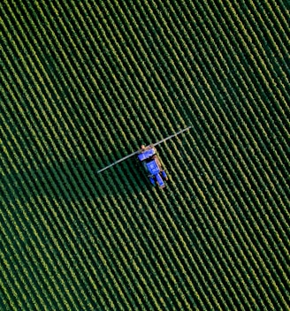 a group of people flying kites in the sky