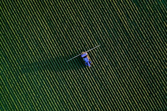 a group of people flying kites in the sky