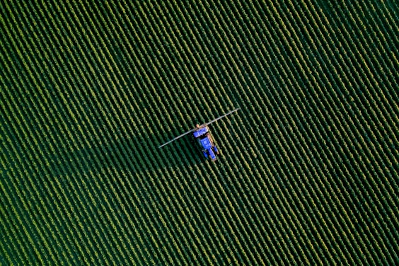 a group of people flying kites in the sky