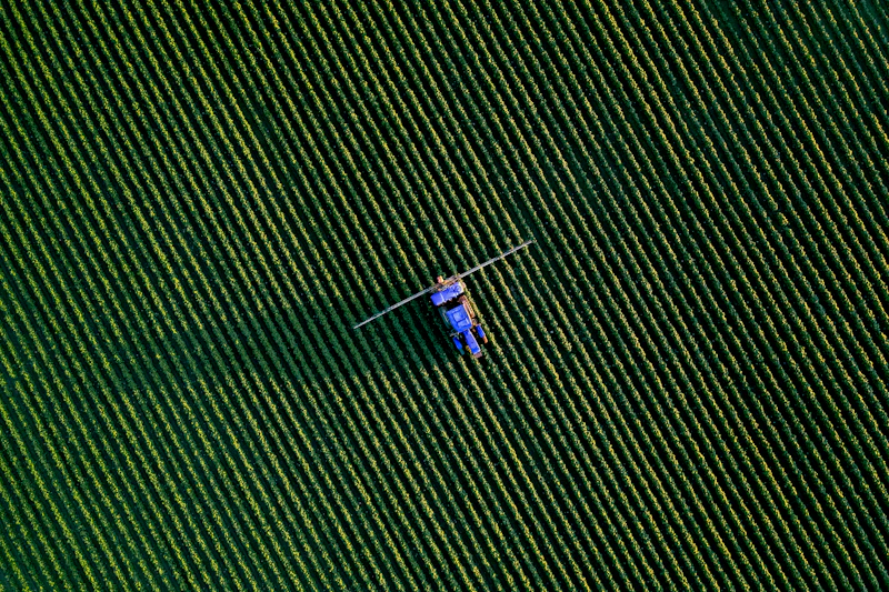 Smart Agriculture AI crop rows aerial