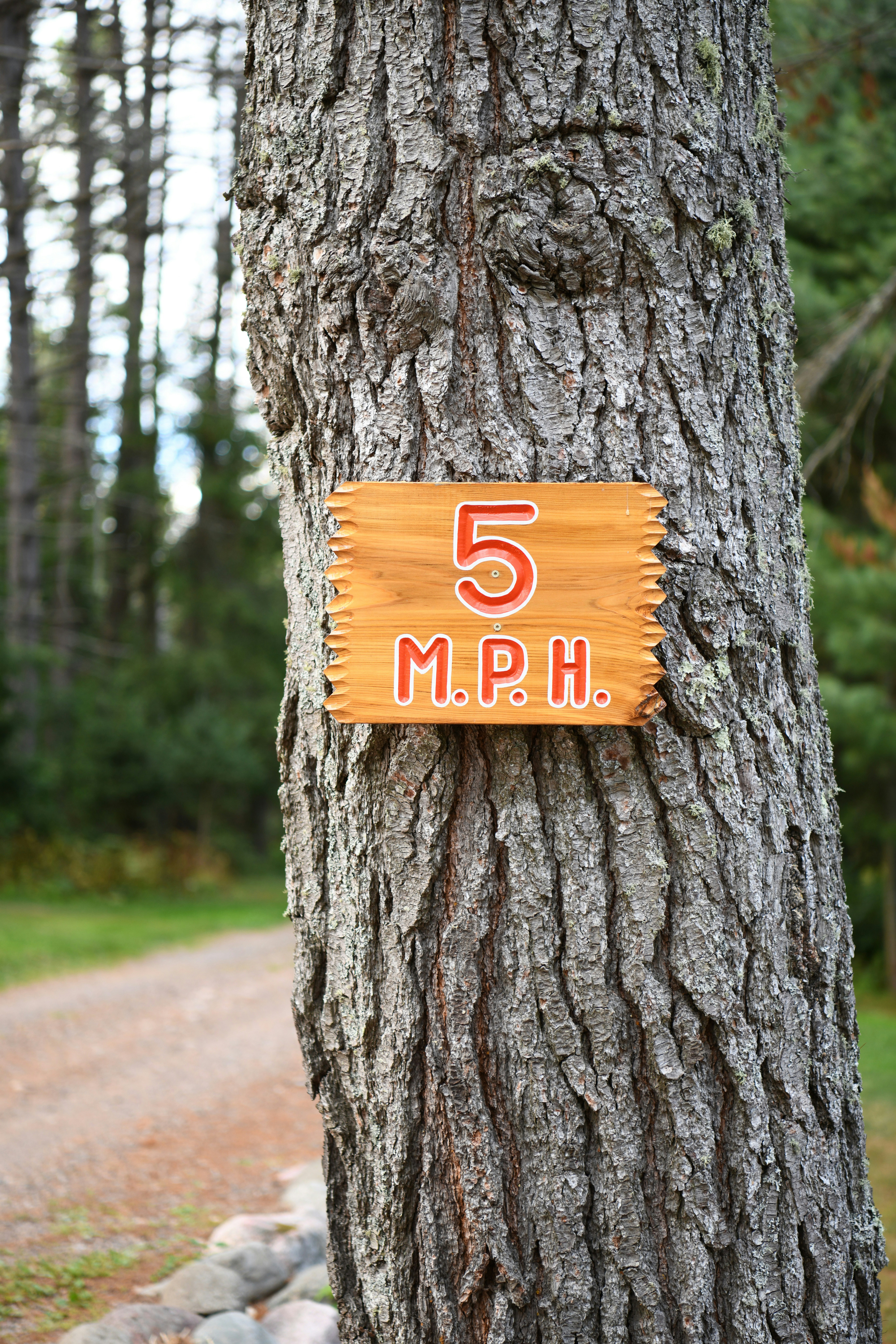 8 Affordable Material Sources for Outdoor Metal Sign Making