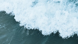 a wave in the ocean