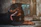 A strong Rottweiler resting calmly on a wooden floor with soft natural light.