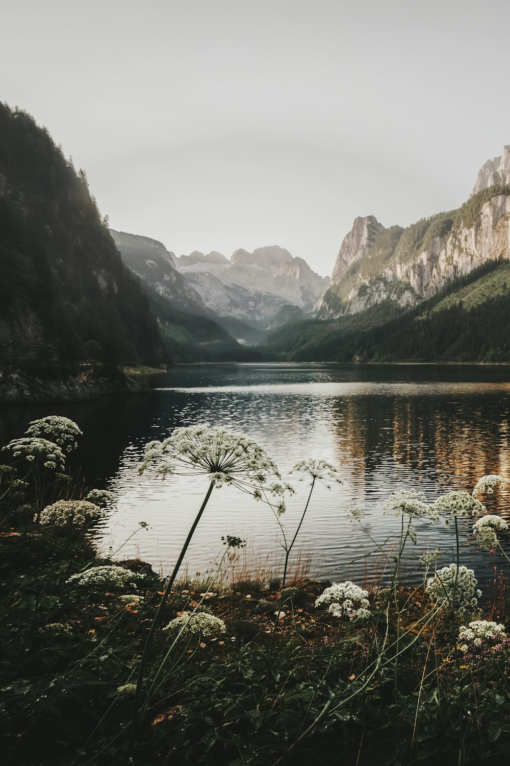 a lake with mountains in the background