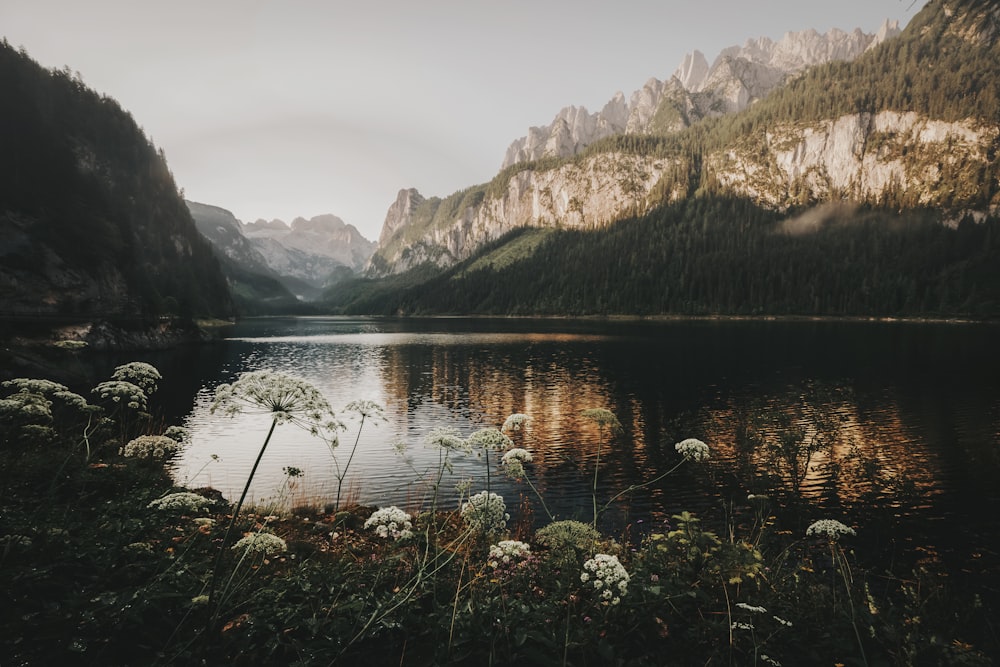 a lake with mountains in the background