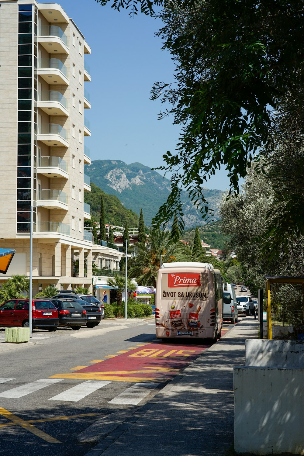 Un autobus viaggia lungo la strada