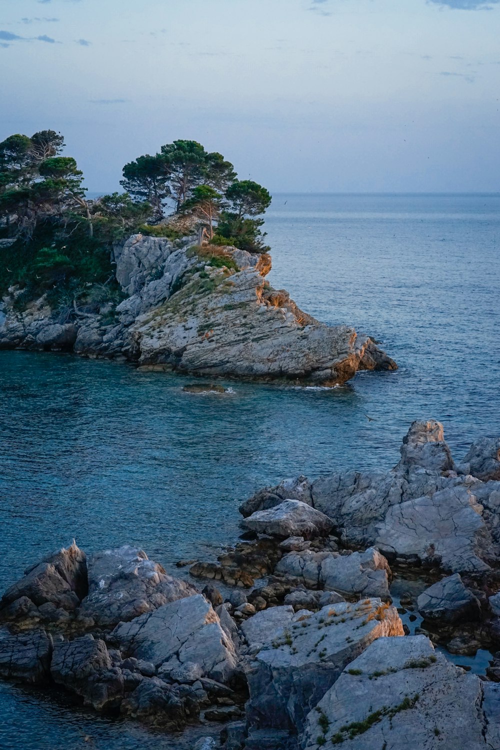 a rocky shoreline with trees