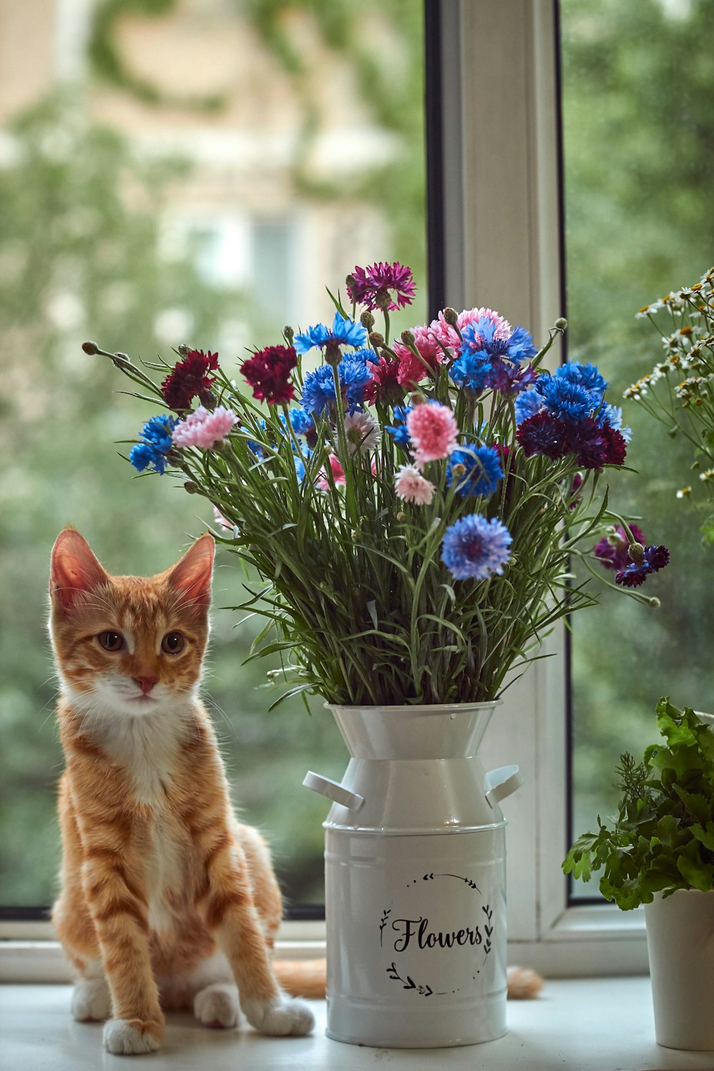 a cat sitting next to a vase of flowers