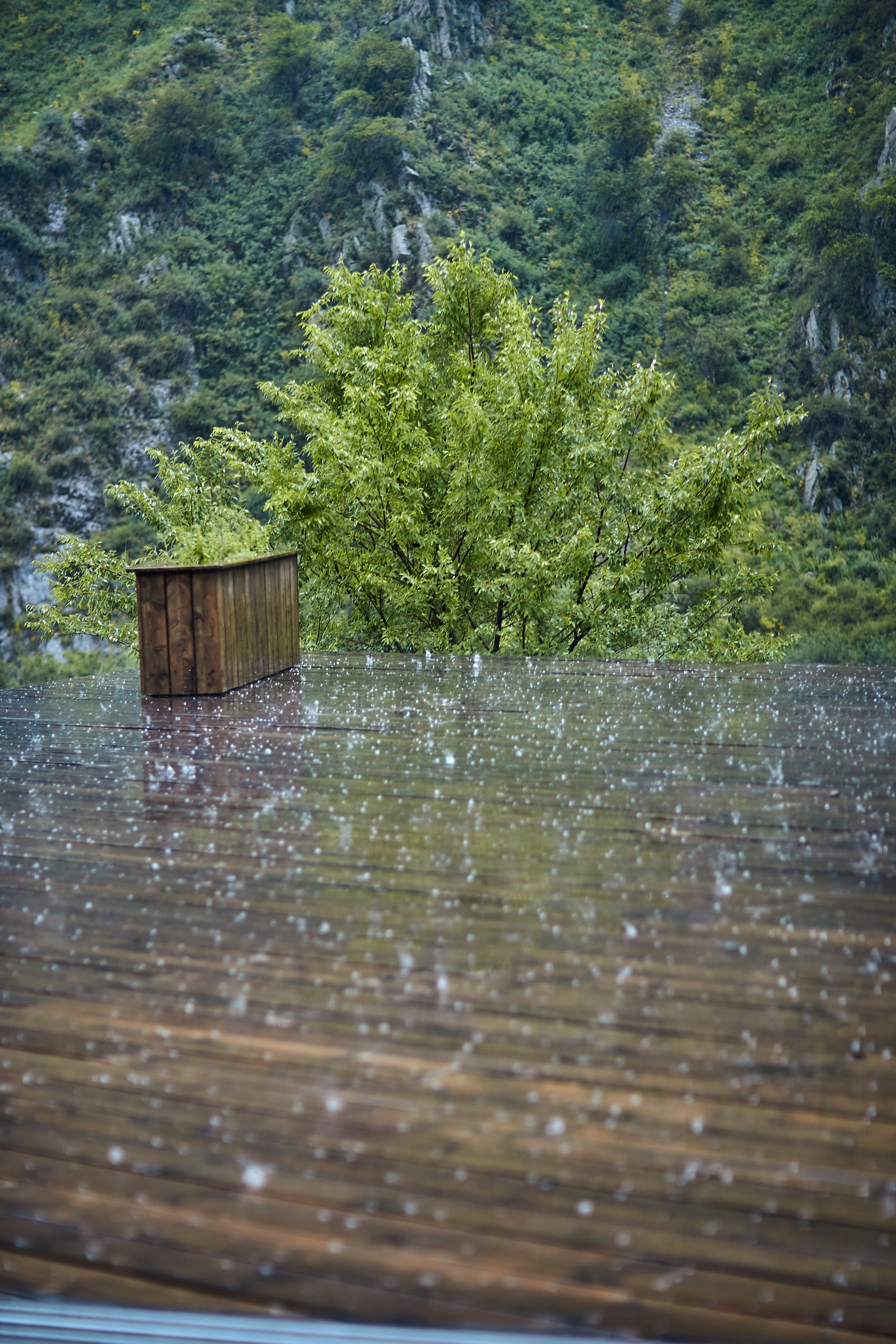 Nurturing Hope in Arid Lands: The Imperative of Rainwater Harvesting in Syria 🌧️