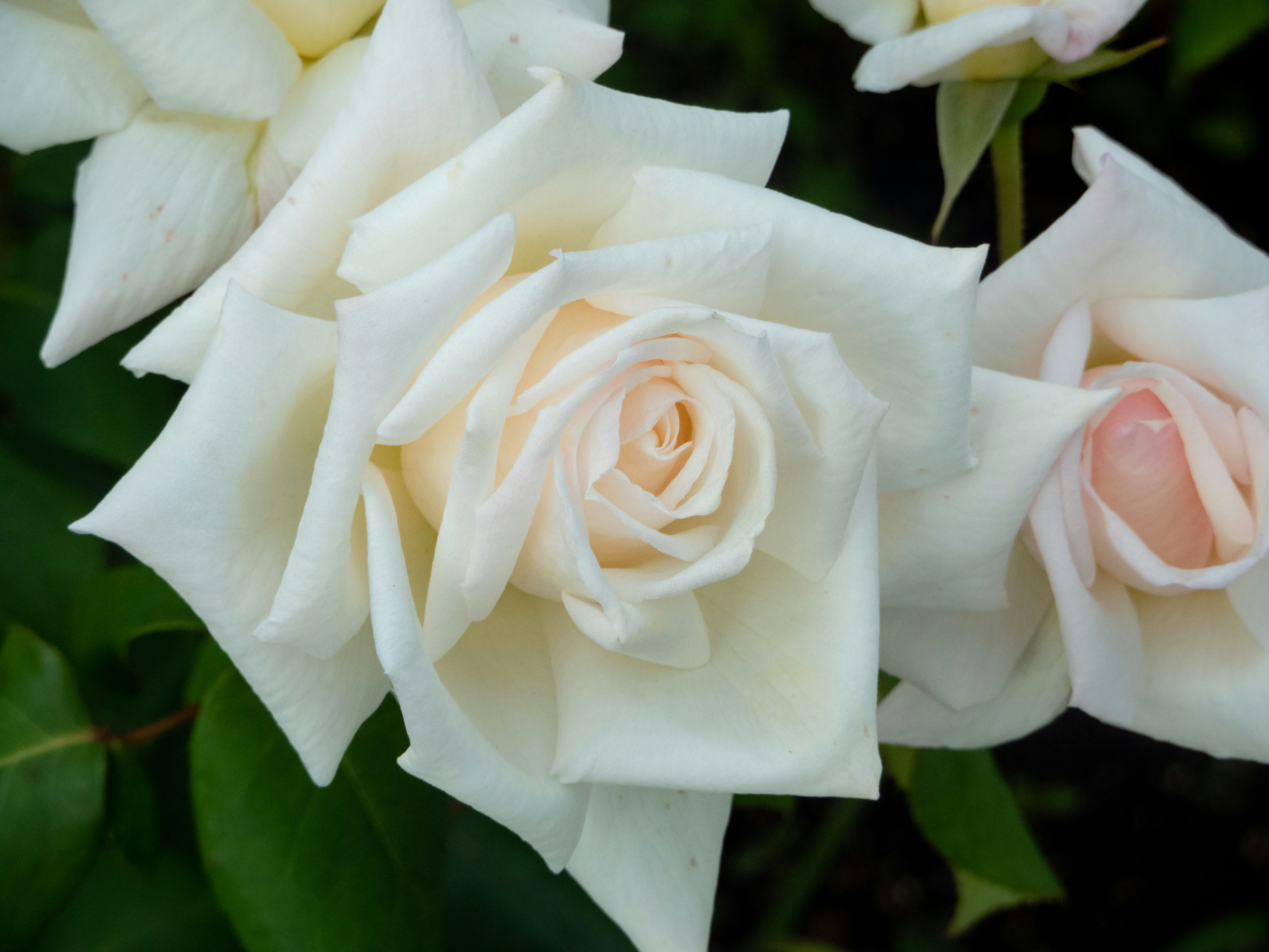 Photo by heppoko_yama