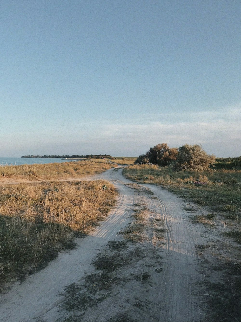 a dirt road with grass and trees on either side of it