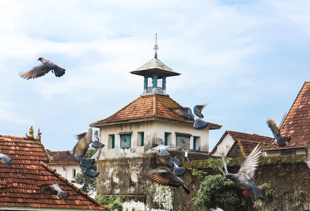 birds flying in front of a building