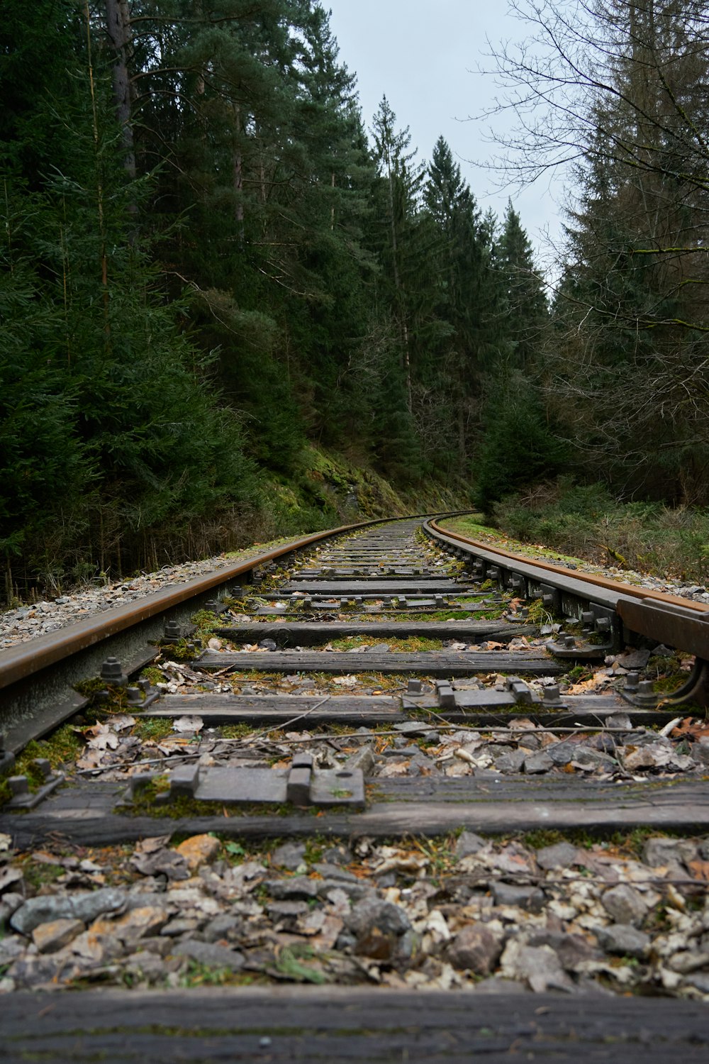 a railroad track with trees on the side