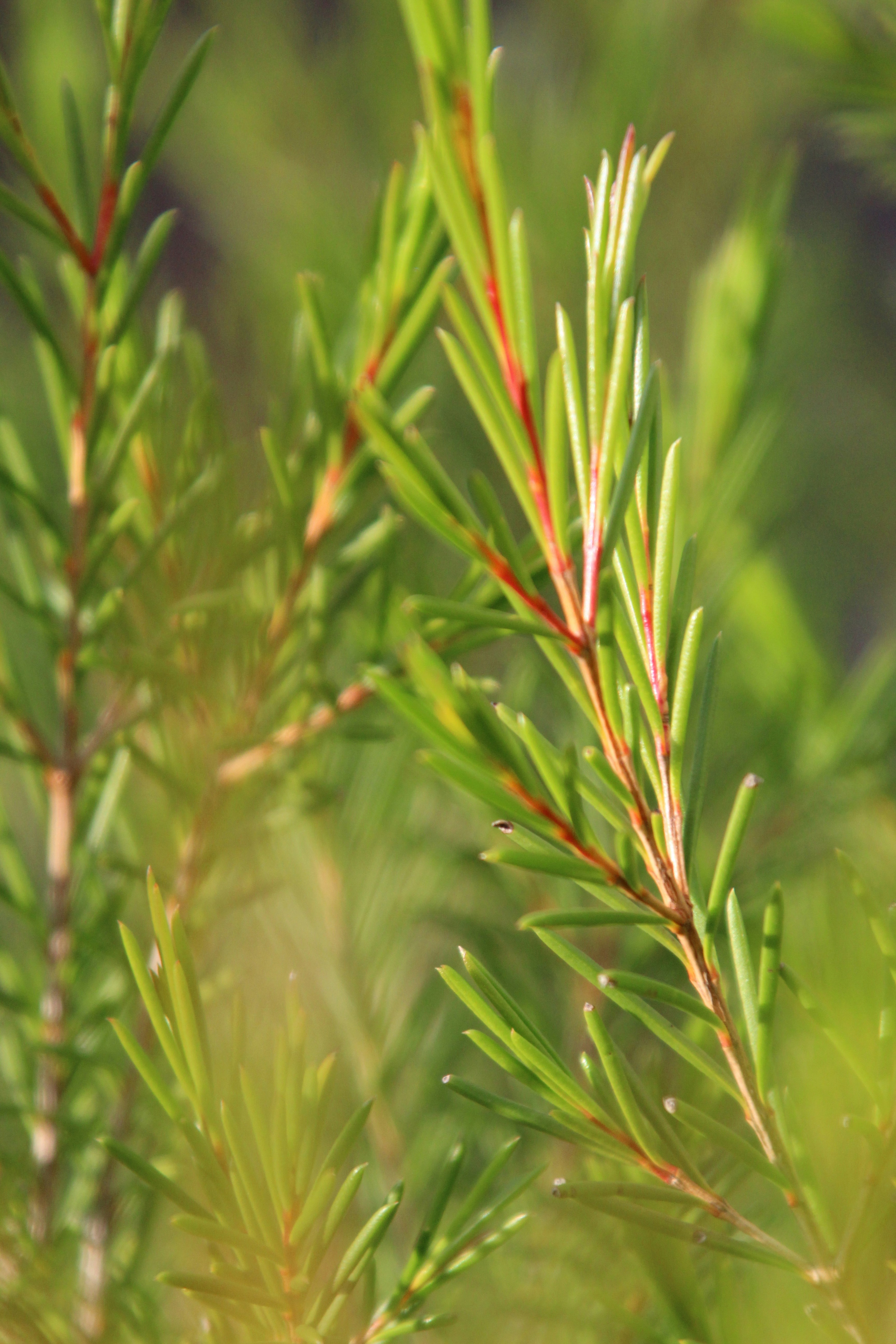 Photo by fruehlingskind