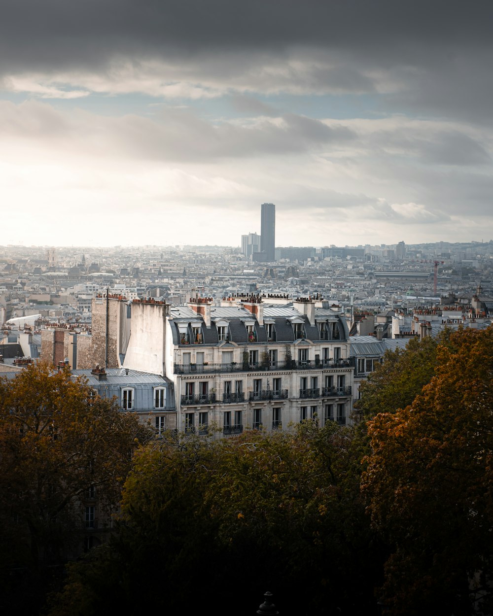 a city with trees and buildings