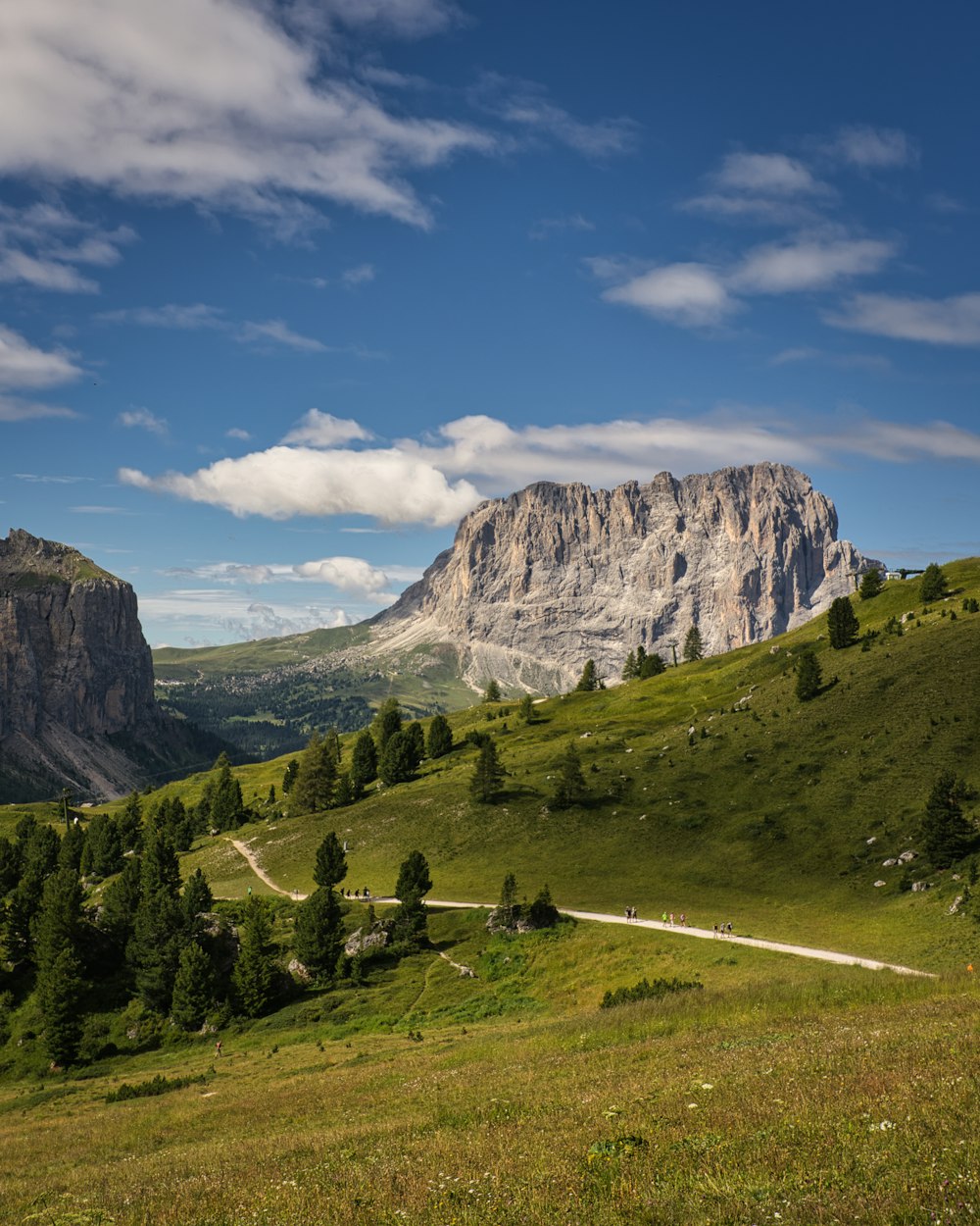 a mountain with trees and grass