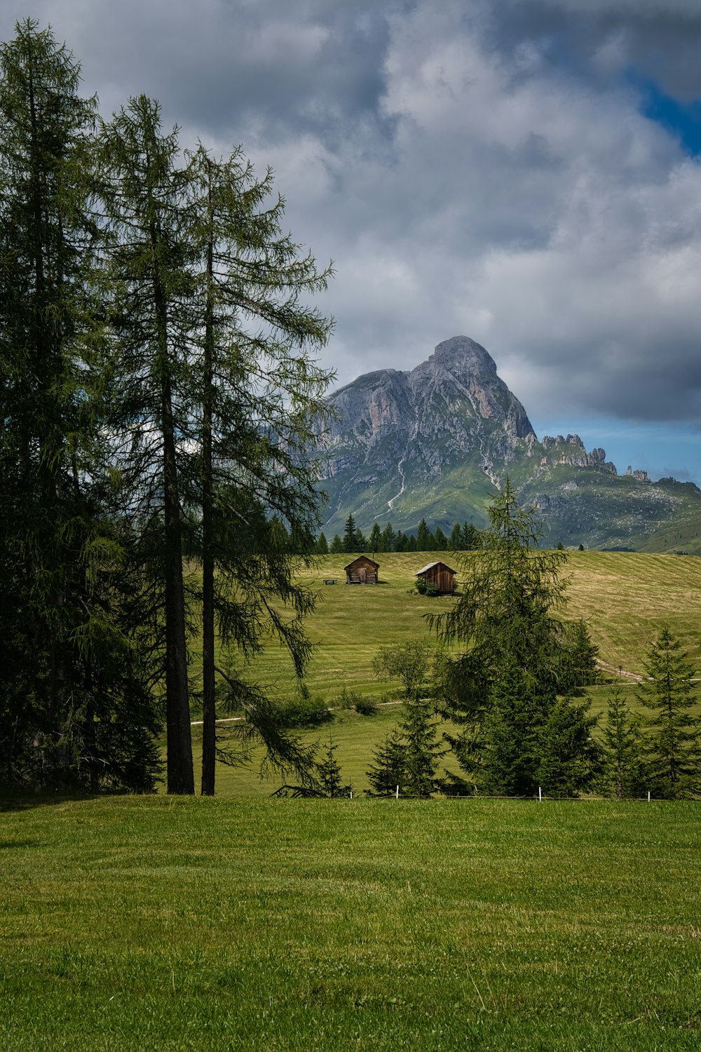 a grassy field with trees and mountains in the background