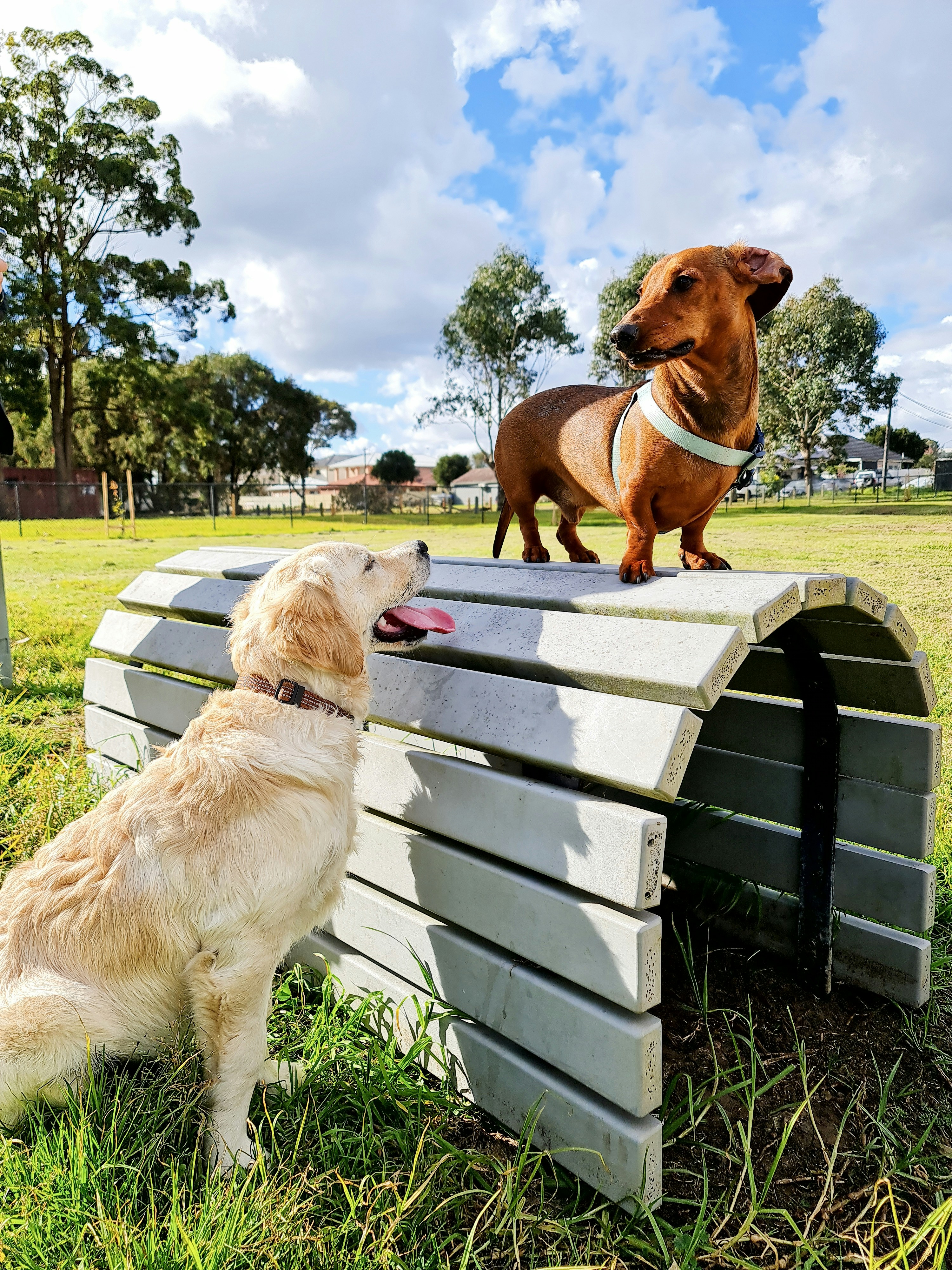 What Makes DORA Outperform LoRA in Low-Rank Adaptation