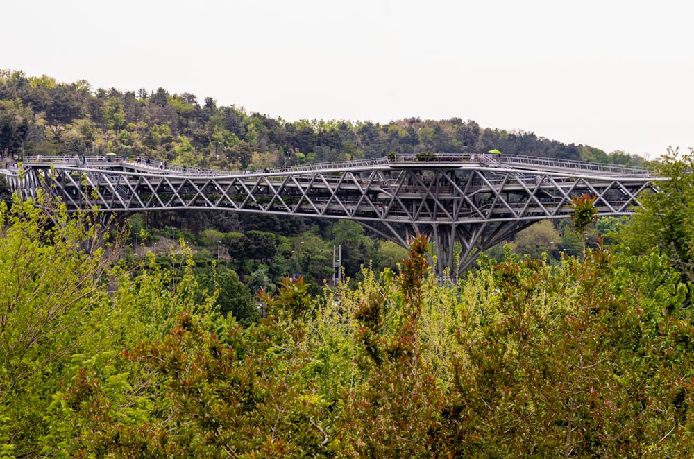 um trem em uma ponte