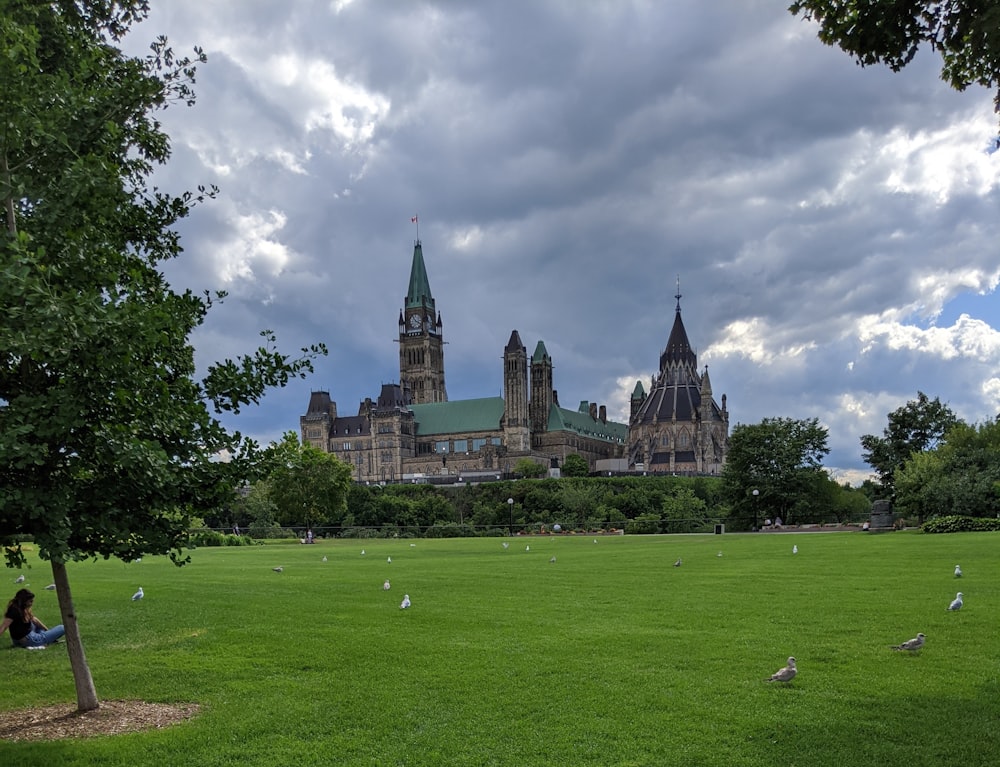 a castle on top of a grass covered field