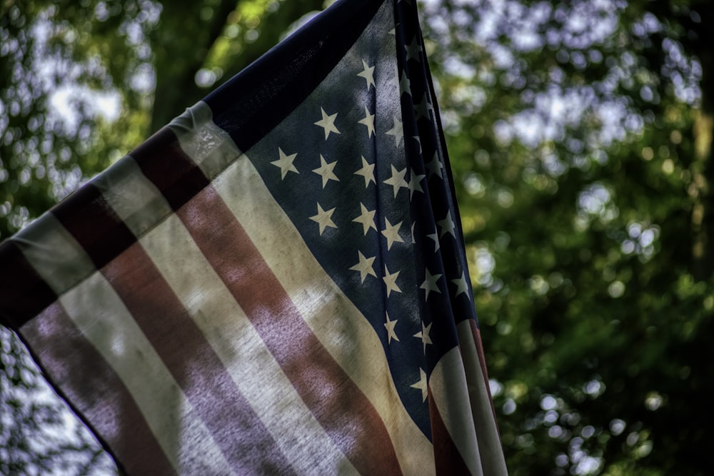 a flag with stars