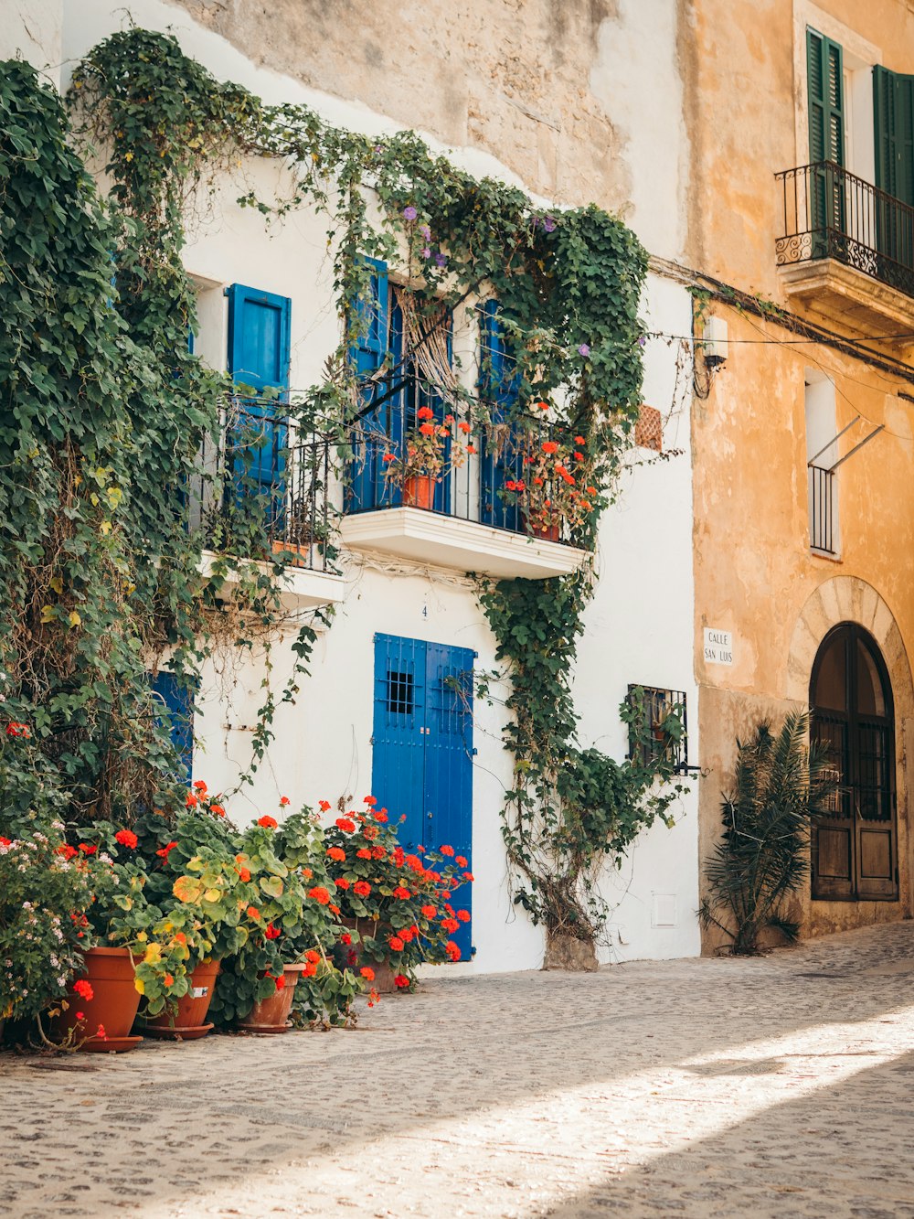 a building with plants and flowers